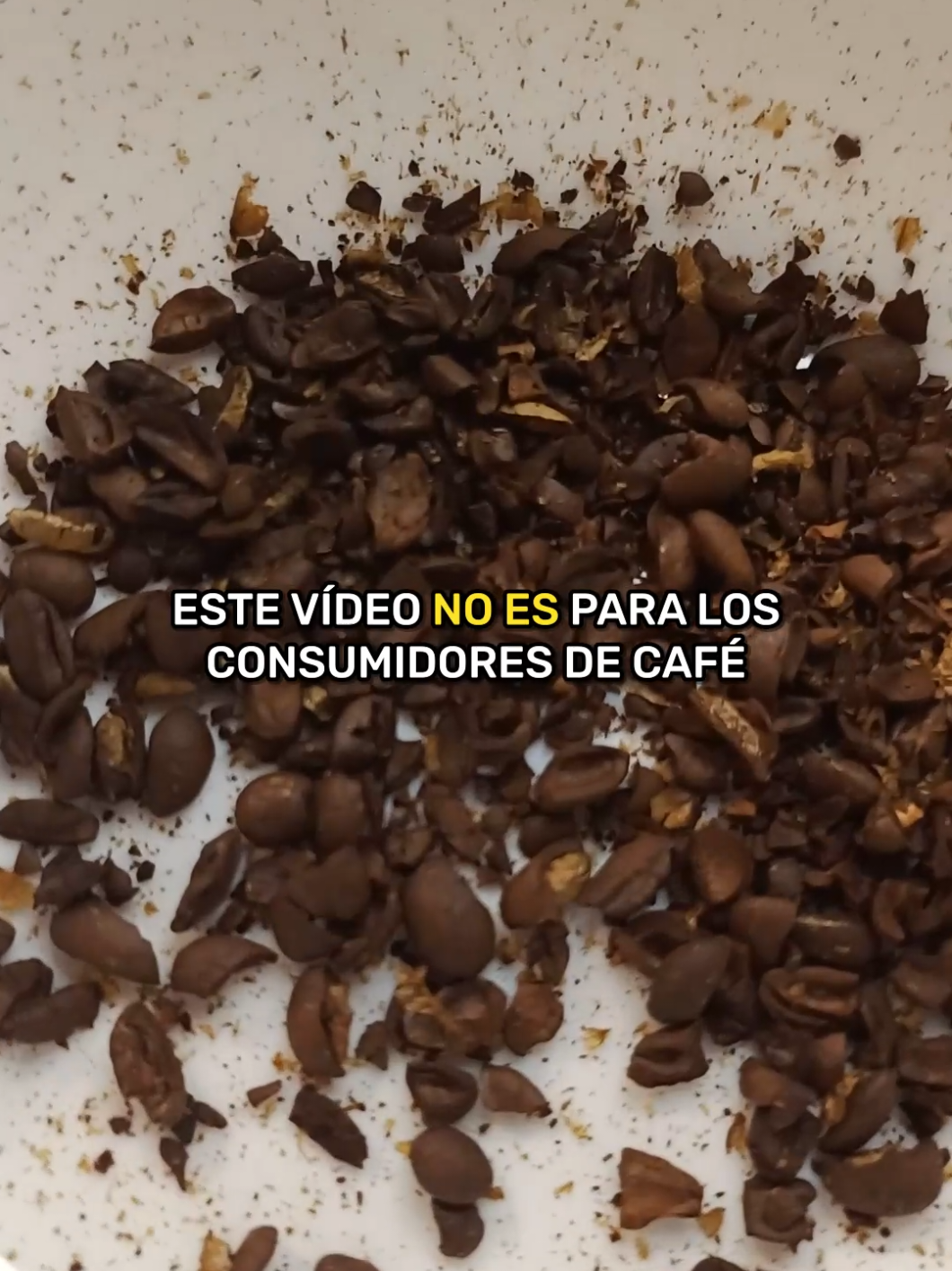 El Café ahora es bebida nacional en Colombia. Estamos hablando del café con calidad, el cultivado en fincas Colombianas por campesinos y caficultores que madrugan a recolectar granos maduros. Hablamos del café que tiene trazabilidad, calidad. Las grandes marcas e industrias han popularizado durante años el café, exportando lo mejor y dejando la menor calidad en el mismo país donde se cultiva, es triste ese monopolio pero poco a poco nos unimos para tener más poder que ellos, el dinero no siempre es la solución, hacer las cosas bien y dicer la verdad no debería ser un riesgo y mucho menos un favor. Las marcas con calidad se abren camino y nosotros como clientes estamos dispuestos a pagar por un buen café. Ya basta de publicidad engañosa. #Cafe #Coffee #CoffeeLover #Cafedeorigen #Cafedeespecialidad 
