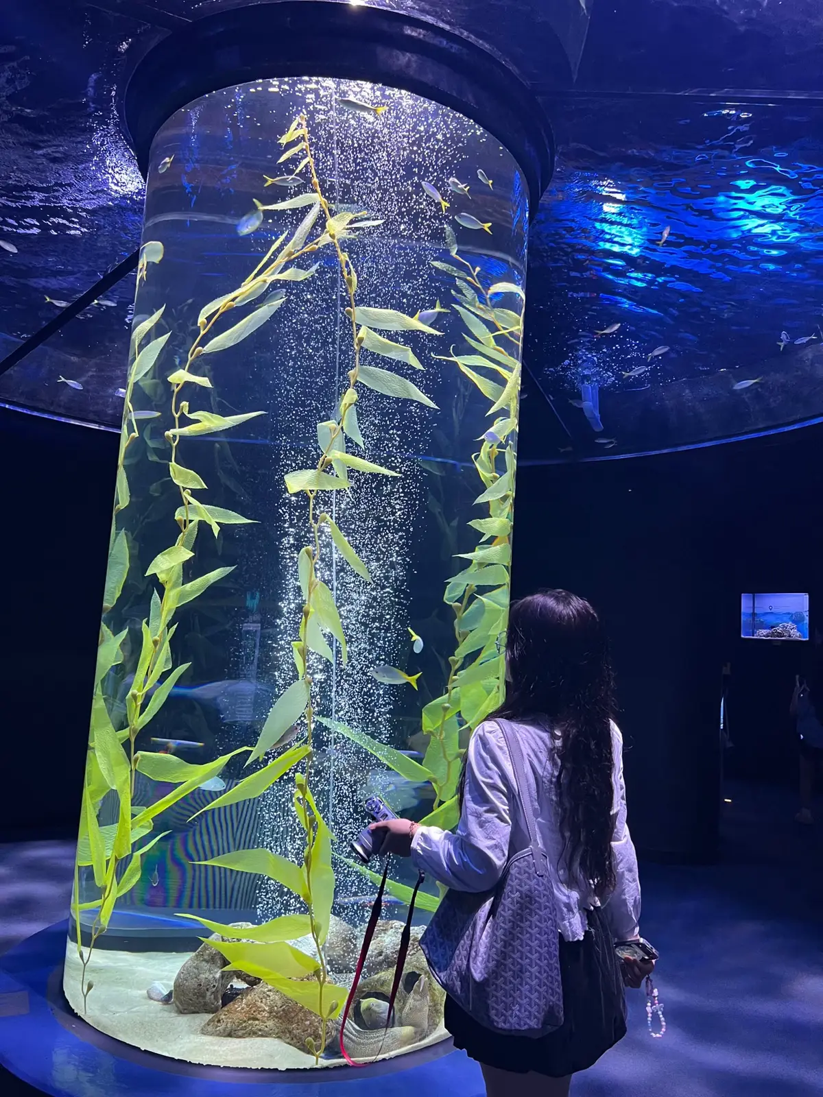 #thuycung #lotteworld #aquarium 
