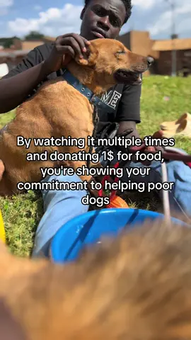 #animalsoftiktok 