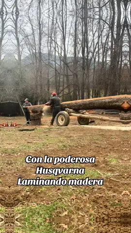 #madera #aserraderoportatil #motosierra #losangeleschile🇨🇱🇨🇱  