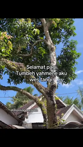 Pagiii cemuanyaaaahhh #fypp #hariini #jowostory #xyzbca #xzybcaシ 