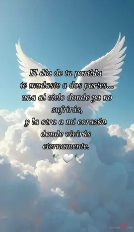 😔🥺😢🤍🕊💐  #teextraño #🕊️ #🤍 #tebuscareenelcielo🕊 #miangel #recuerdos #vuelaalto #enelcielo #🙏🙏🙏 #iloveyou #duele #siempreterecordare 