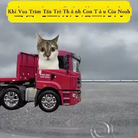 anh hùng của mọi người  #meme #xuhuong #edit #fyp 