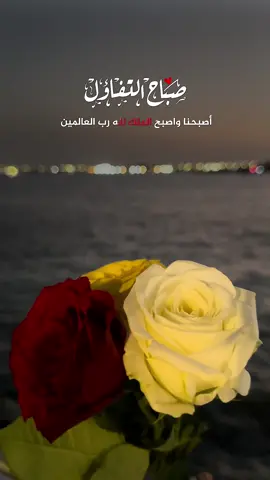 أصبحنا وأصبح الملك لله رب العالمين  اللهم بك أصبحنا وبك أمسينا وبك نحيا وبك نموت وإليك النشور لا إله إلا الله وحده لا شريك له، له الملك وله الحمد وهو على كل شيء قدير بسم الله الذي لا يضر مع اسمه شيء في الأرض ولا في السماء وهو السميع العليم. #صباح_الخير #صباح  #دعاء