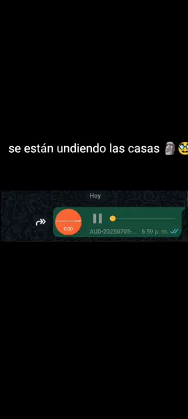 audios de WhatsApp 🥸🗿😂