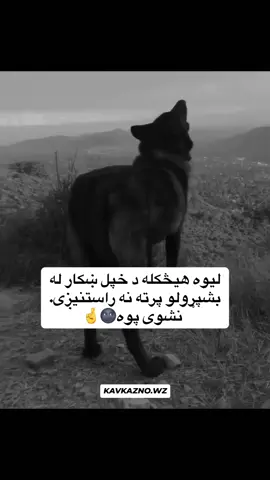 #بی رحمه#💀 