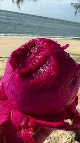Have you ever eaten dragonfruit like a banana? 🍌 #reddragonfruit #redpitaya #pinkpitaya #pinkdragonfruit #dragonfruit #pitaya