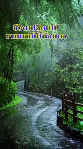 เป็นเธอใช่ไหม#เพลงเพราะๆโดนใจ🥀❤❤🥀 #เพลงซึ้งๆ #สตอรี่ความรู้สึก #เพลงดังtiktok #เพลงเพราะ 