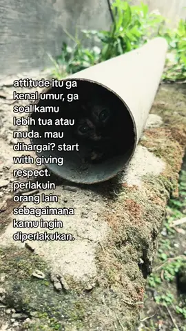 start with giving respect #fyp #ti̇ktok #4u 