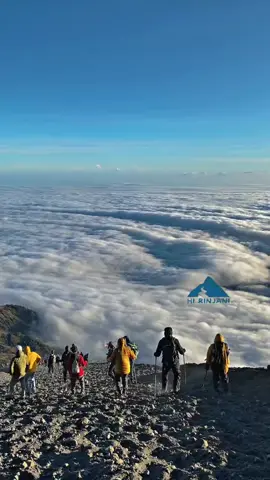 Ketika kalian ke rinjani dapat Lautan awan guys  Explore Rinjani with trusted local guides! Trekking packages for all levels Flexible dates | Group & Private Tours  let us guide you to the peak of your adventure | book your trip now  Ready for an unforgettable adventure 2025 ?  Book your 2D/1N trekking package now and let the adventure begin!  📍 sembalun Route |  🗓️ Open Booking | 💬 DM us for details! WhatsApp : +6287856767214 Website : www.hirinjani.com  #GunungRinjani #RinjaniTrek #ExploreLombok #PendakiGunung #AdventureTime #NatureLover #HikingIndonesia #WonderfulIndonesia #Rinjani2025 #MountainVibes #SummitAttack #IndonesianHikers #CampingLife #JelajahNusantara #TravelMore #OutdoorAdventure #hirinjani #hikingtriprinjani #harry_guide #france #netherland #asia #europe 