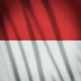 komun*s tak pergi? Soeharto punya solusi. #fyp #fypシ #fypシ゚viral #fypage #soeharto #indonesia 