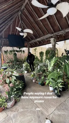 Mind yo business 😝#PlantTok #plants #planttiktok #plantpassion #plantlover #planthumor #plantspace #plantmath 