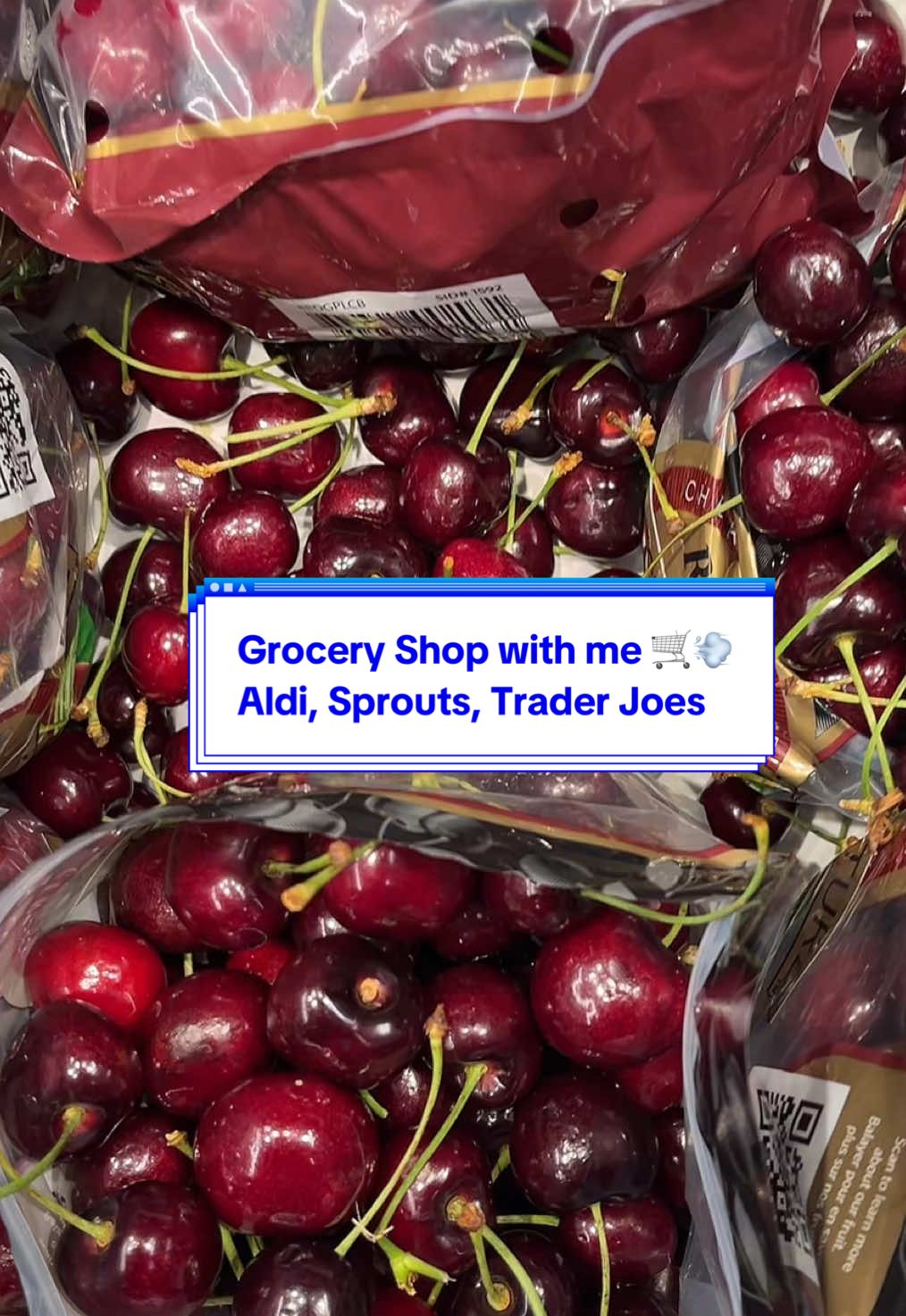 Aldi, Sprouts and Trader Joe’s Lets see what I can find 🛒💨 #groceryshopping #groceryshopwithme #vegangroceries #vegangroceryhaul #traderjoes #aldi #sproutsfarmersmarket #giaflowerz 