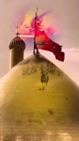 #ثورة_الحسين #عشاق_الحسين #عراق #بغداد_بصرة_موصل_الكويت_الخليج_دبي_ #مشاهير_تيك_توك #ترندات_تيك_توك #العراق🇮🇶❤️ #تيكتوك_عرب #fyp #1millionaudition #100k #حب_الحسين_يجمعنا #النجف_الاشرف_الان #امريكا #واشنطن_بريطانيا_فرنسا #عرب_تيك_توك #احمد_الوائلي_رحمه_الله #كربلاء_مدينة_العشق_والعاشقين #كربلاء #بغداد #البصرة 🇮🇶🇮🇶🇮🇶🇮🇶🇮🇶🇮🇶🇮🇶#علي_بن_ابي_طالب #المشاهدة #جيش_العراقيين🇮🇶💪 #الشعب_الصيني_ماله_حل 
