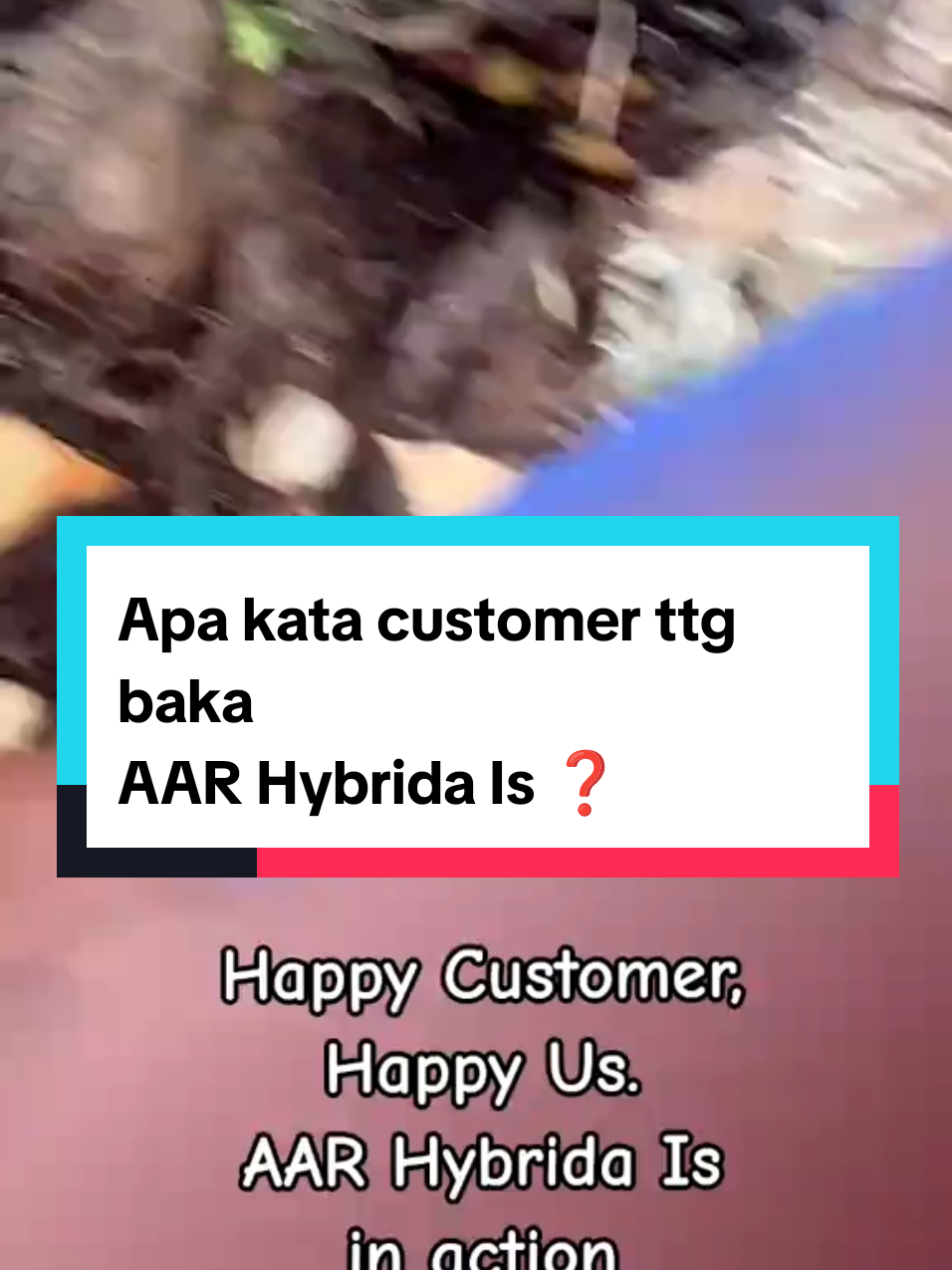 🎥 TESTIMONI PELANGGAN ANAK POKOK SAWIT! ✔️ Dah beli, tanam… dan hasilnya memang puas hati. Jom dengar dan tengok sendiri apa kata pelanggan kami 💰 HARGA MAMPU MILIK 🔹 bermula RM17 sepokok 📦 Self-pickup sahaja – tiada penghantaran. Kami ada contact lori 📍 Lokasi: [https://goo.gl/maps/8wA3rcMEiZ8Q5seu9] 📌 Kenapa ramai puas hati? ✅ Anak pokok sihat & kuat ✅ Saiz sesuai untuk tanam terus ✅ Servis mesra & telus ✅ Repeat order setiap bulan! 📲 Nak tengok pokok? Nak datang terus ke nurseri? DM kami atau terus WhatsApp: [012-7261169] 📍 Siapa cepat, dia dapat! Stok sentiasa jalan cepat sebab ramai repeat customer.