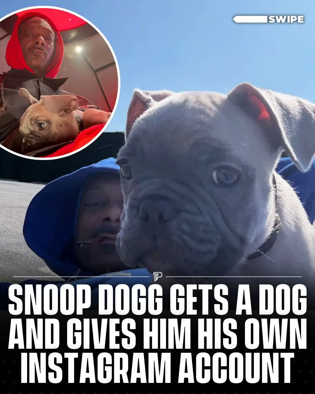 Two weeks after mourning the loss of his beloved French bulldog Juelz, Snoop Dogg introduced fans to his new puppy, BabyBoy Broadus. 🐶 #RoadTo18M #Pubity 
