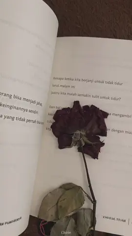 Di setiap kelopaknya yang layu,terdapat pengorbanan dan kepedihan yang membentuk jati diri yang kuat dan penuh makna🥀