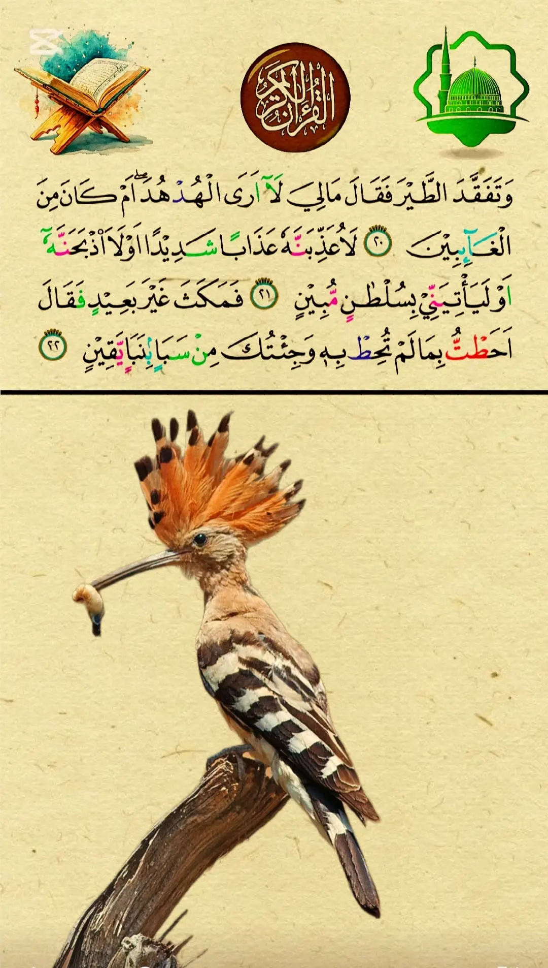 #قران_كريم #القران_الكريم 