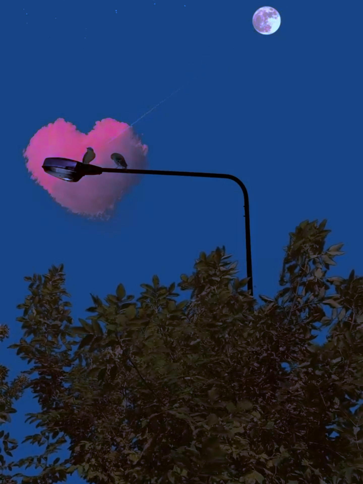 Dream - Lisa! | Lyric Edit 🌟💫#viral #views #like #reels #edit #foryou #trending #titok #explorepage #status #aesthetic #video #videoedit #lyrics #lyricsedit #lyricsvideo #song #songedit #songlyrics #songvideo #songlover #music #musiclyrics #musicvideo #musiclover #abrisheditz
