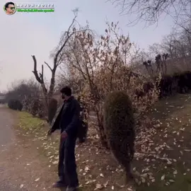 हमसे वो सब हिसाब दोबारा नहीं होगा 🫂❤️‍🩹 #fypシ゚ #viral #related #goviral #foryoupage️️ #viralvideo️ #foryou #foryoupage #truelines #fypシ゚viral #viral #broken #related #fypシ #goviral #fypシ゚viral #trendingvideo #related #arjunbhul01 