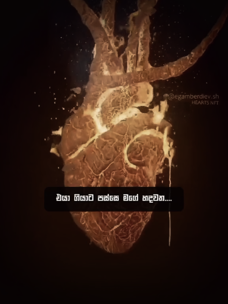 එයා එන්න කලින් < ආවම < ගියාම.. 🙂 #foryou #fypシ #fyp #pouty_me #foryoupage #sad #pouty_you🥺 