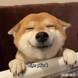 nhớ nhá bn yêu#xhtiktok #xh #xuhuong #chó 