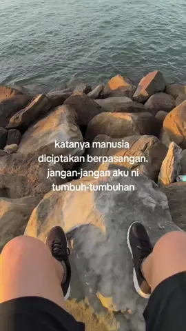pokok limau kali ni 😮‍💨 #sabahancrew_fams #khasforyou #fyp #cjayy 