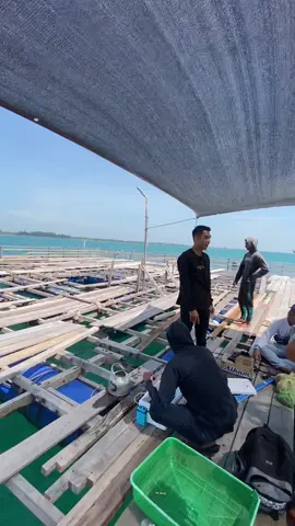 Laot pantai pelangi Aceh Timur