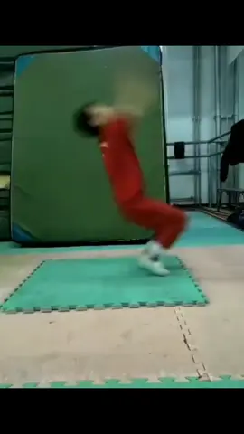 #martialarts #shaolin #lee25dragon #technique #skills #viralvideo #foryoupage #onthisday 