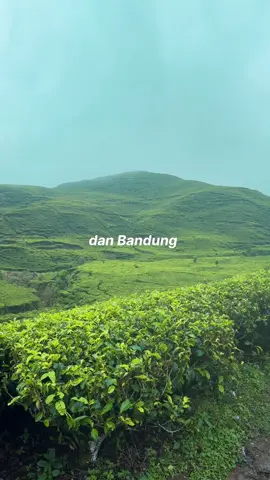 Ciwidey after rain 🌧️