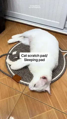Cat Scratch Pad Cat Sleeping Mat Double Sided Washable Cat Scratch Board Toy Usable Cat Scratch Mat Cat Scratcher #catpad #catscratchpad #catscratchmat #cattoy #cat #pet 