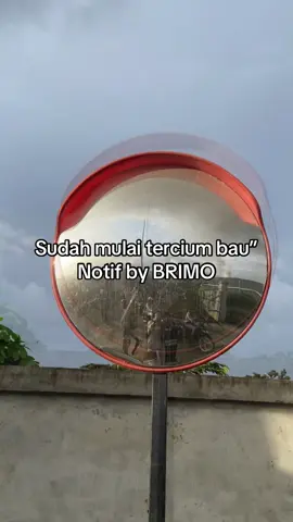 Infonya dulu sodara😂#fyp #ptiwip #wedabaynikel🇲🇨🎌 #anaktambang #fyppppppppppppppppppppppp 
