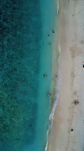 🌴 Vue du ciel sur les îles Gili 🐢✨ Eaux turquoise, sable blanc, cocotiers et vibes de paradis… Les Gili comme tu ne les as jamais vues. 📍 Gili Air / Meno / Trawangan 🎥 Drone vibes | #islandlife #GiliIslands #GiliAir #GiliTrawangan #GiliMeno #IndonesiaTravel #DroneView #DroneFootage #TravelVibes #ParadiseFound #TropicalVibes #IslandHopping #BeachLife #AerialPhotography #Wanderlust #OceanLovers #NatureFromAbove #TravelGoals #ExploreIndonesia #UnrealViews #DJIMavic #sunsetchasers 
