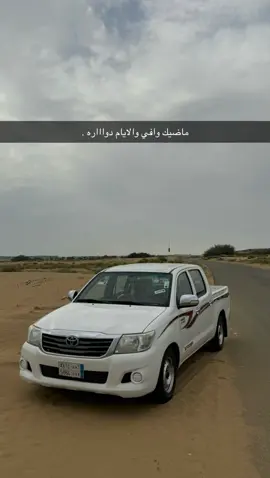 القنفذة .القوز #ساحليات👨🏼‍🦯🩶🥇
