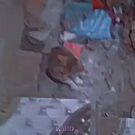 part 16 | bisada killer wye😂#vireal_video#view_video #k.a.r.t.o#edit