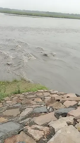 today also the danger day with water on river 😭😱#foryou #viralvideo #viraltiktokvideo 