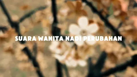 MUSLIMAT KOTA MELAKA HADIR MUKTAMAR  Bahang Muktamar semakin terasa!   Muslimat PAS Kawasan Kota Melaka bersedia melangkah gagah ke Muktamar Dewan Muslimat PAS Negeri Melaka.   Jom kita, ayuh bersama! Muslimat PAS Kawasan Kota Melaka Credit Video : Khawlah binti Abdullah @Dewan Muslimat PAS Melaka  #dmpkkm #islamsebagaipenyelesaian #MuktamarDMPNM2025 #DMPNM #muslimatpasmelaka #DMPNMVideoChallenge #membumitarbiyah #mengukirkemenangan #menujuserinegeri