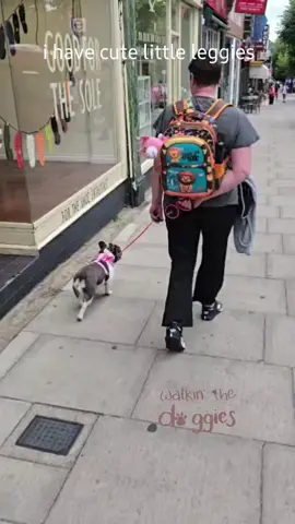 #dogs #dogmom #dogsoftiktok #whatdadogdoin 