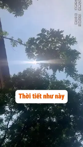 Đứa nào bảo thích mùa hè ???#funny #haihuoc #vairal #fyp #xuhuong #trending 