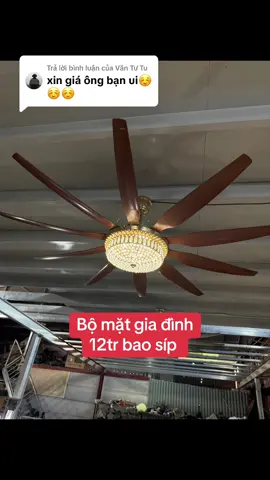 Trả lời @Văn Tư Tu Cứ thế thôi #vuaquat 