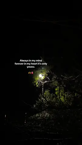 It’s only youu🫶🫀 #foryou #explore #Love #support #quotes #viral #share #love #trending #tagsomeone #like  