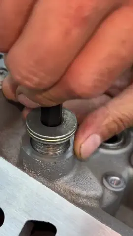 Audi A839 engine overhaul