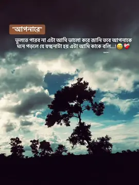 #আপনারে ভুলতে পারব না এটা আমি ভালো করে জানি তবে আপনাকে মনে পড়লে যে যন্ত্রনাটা হয় এটা আমি কাকে বলি....!😅❤️‍🩹#fyyyyyyyyyyyyy #fypシ゚viral #foryou #tiktok #vairal #বরবাদS 