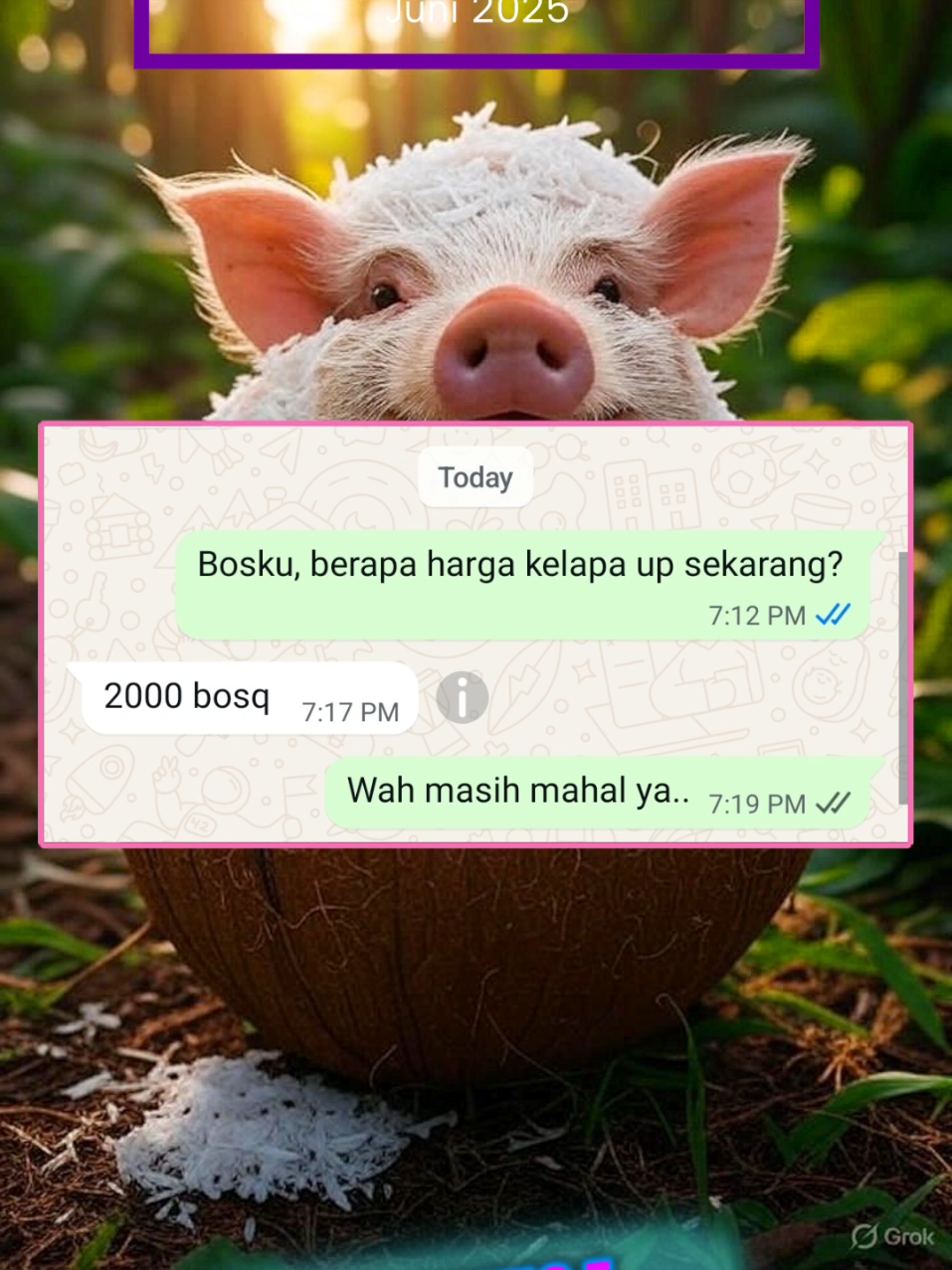 Informasi Harga Kelapa Kupas Babi Up Juni Juli 2025 #informasi #harga #hargakelapa #kupasbabi #infotani #petaniindonesia 