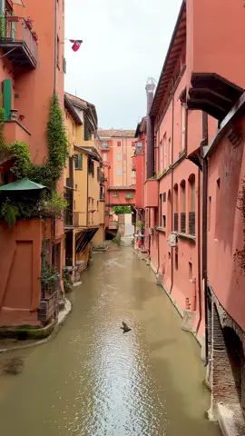 Buongiorno from Bologna 🇮🇹 