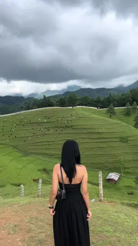 🖤#bhedafarm🐏 #chitlang 