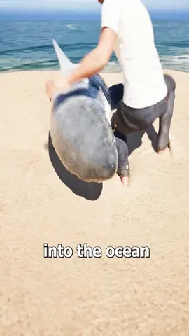 How To Save A Beached Shark #fyp #animation #zackdfilms