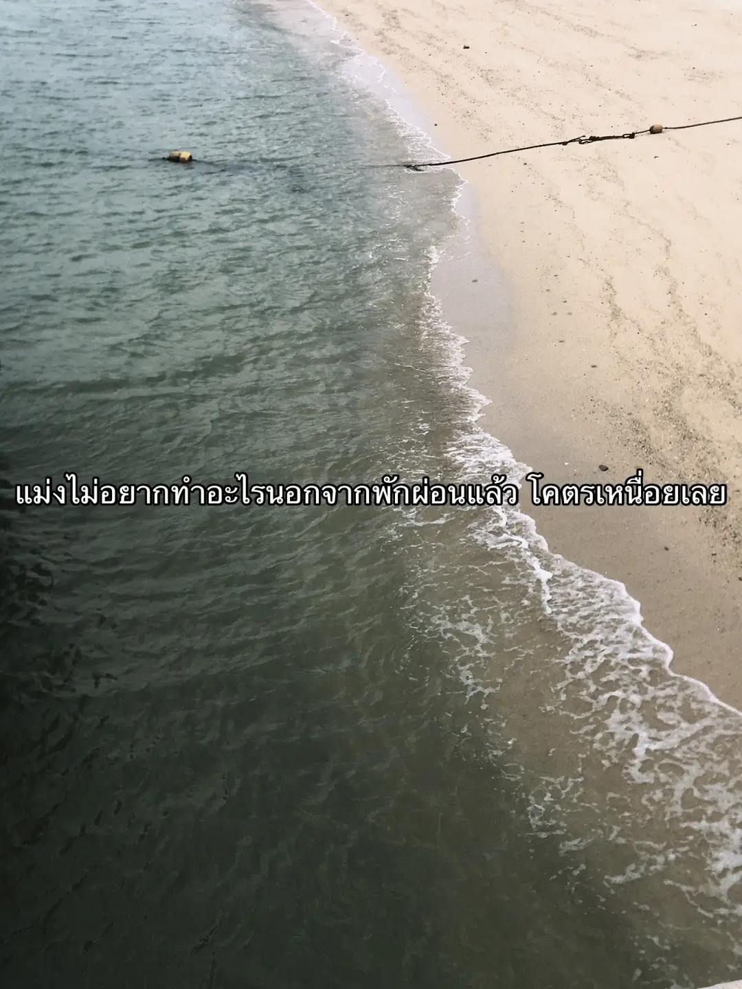 ชีวิต #ฟีด #เหนื่อย 