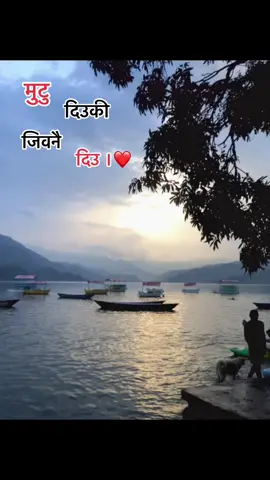 #fypシ #creatorsearchinsights #lakeside #Love #viewsproblem😭 #repost 