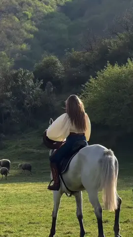 ان رأيت فتاة تعشق الخيل فكن على يقين بأنها جميله كالقمر وقويه كالسيف #خيل_وخياله🐎 #صهيل_الخيل #خيل #مقاطع_خيل #نورة #حب #حصان #تصميم_فيديوهات🎶🎤🎬 #حصاني🐎 #حصان_عربي_اصيل #مجرد________ذووووووق🎶🎵💞 #اذا_اعجبكم_حط_لايك_ومتابعه #اذا_رأيت_فتاة_تعشق_الخيل_فكن_على_يقين_بأنها_حميله_كالقمر_و_قويه_كالسيف #طبيعه_جميله #هيلكات_797_حصان #بنت #خوفي#اليسا #alisa #اغاني_اليسا #اكسبلور 